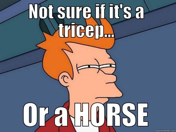 NOT SURE IF IT'S A TRICEP... OR A HORSE Futurama Fry
