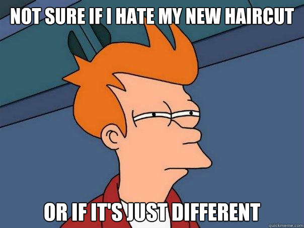 Not sure if I hate my new haircut or if it's just different  Futurama Fry