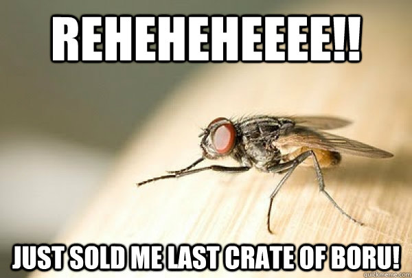 Reheheheeee!! Just sold me last crate of boru! - Reheheheeee!! Just sold me last crate of boru!  Evil Plotting Fly