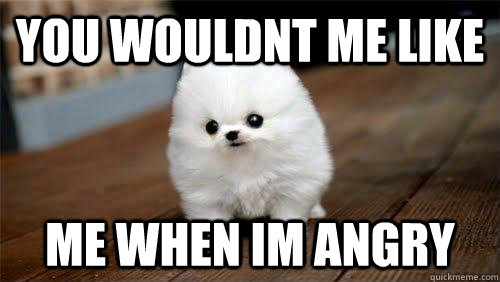 you wouldnt me like me when im angry  Frustration Dog