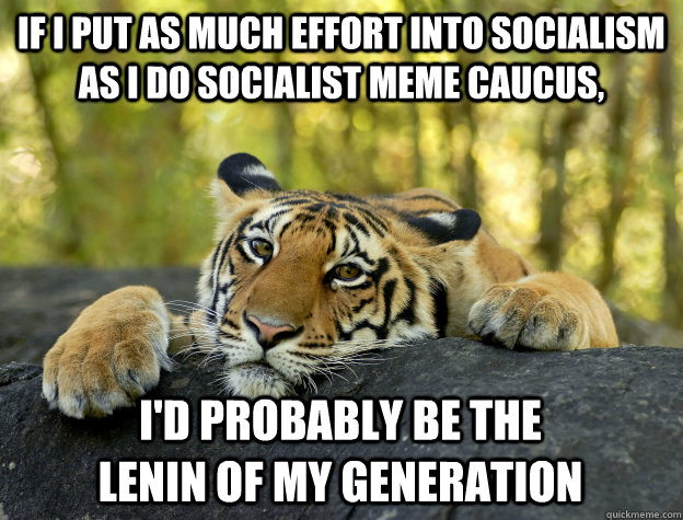 If I put as much effort into socialism as i do socialist meme caucus, i'd probably be the                   lenin of my generation  Confession Tiger