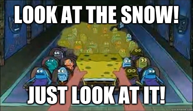 Look at the snow! just look at it!  