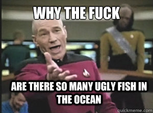 why the fuck are there so many ugly fish in the ocean  Annoyed Picard