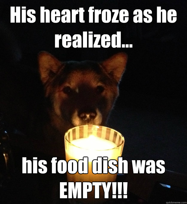 His heart froze as he realized... his food dish was EMPTY!!!  Scary Story Dog