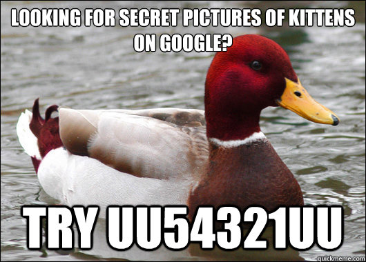 looking for secret pictures of kittens on google? try uu54321uu - looking for secret pictures of kittens on google? try uu54321uu  Malicious Advice Mallard