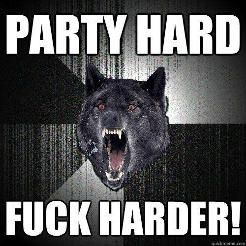 PARTY HARD FUCK HARDER!  Insanity Wolf