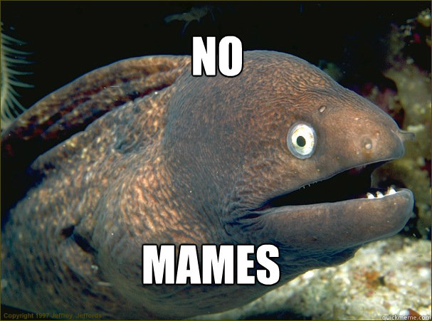 no  mames - no  mames  Bad Joke Eel