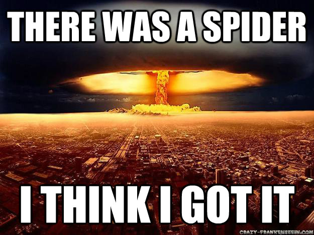 there was a spider i think i got it   atomic bomb