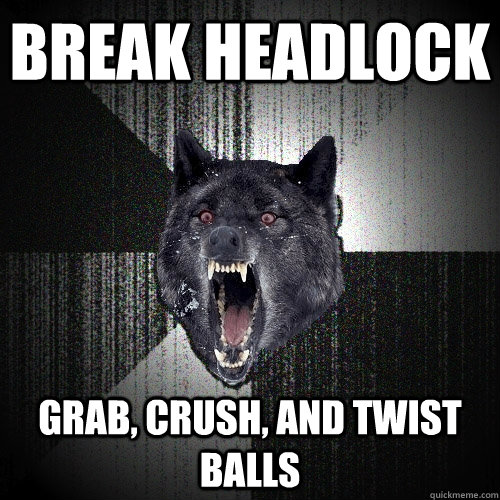 Break headlock Grab, crush, and twist balls  Insanity Wolf