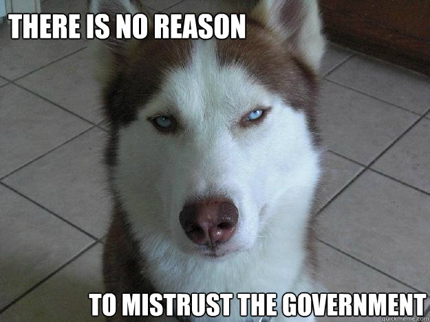 there is no reason to mistrust the government - there is no reason to mistrust the government  Anti Conspiracy Dog