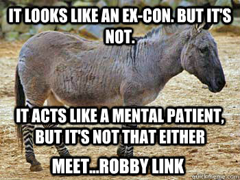 It looks like an ex-con. But it's not. It acts like a mental patient, but it's not that either Meet...Robby Link  