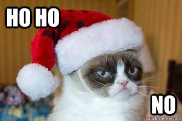 Ho Ho No - Ho Ho No  Christmas Grumpy Cat