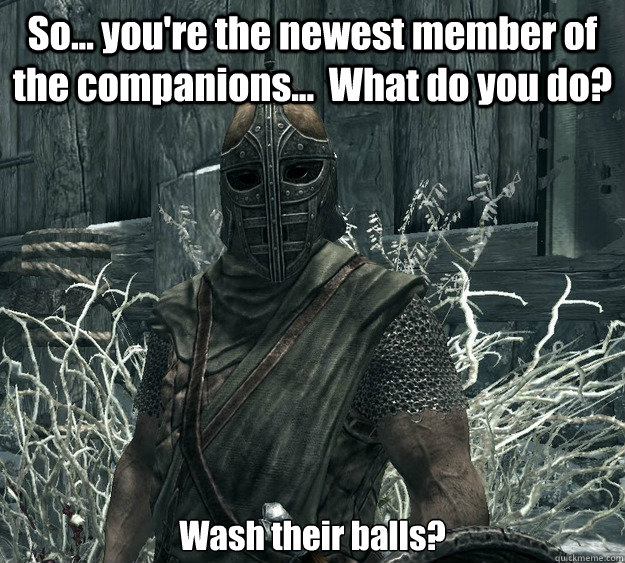 So... you're the newest member of the companions...  What do you do? 

Wash their balls?  Skyrim Guard