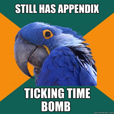 STILL HAS APPENDIX TICKING TIME
 BOMB - STILL HAS APPENDIX TICKING TIME
 BOMB  Paranoid Parrot