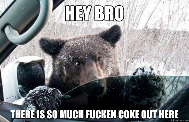 Hey bRO THERE IS SO MUCH FUCKEN COKE OUT HERE   cocaine bear