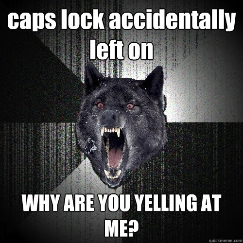 caps lock accidentally left on WHY ARE YOU YELLING AT ME?  Insanity Wolf