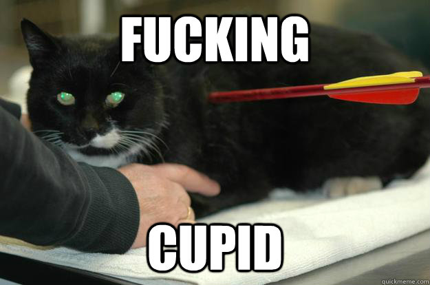 Fucking Cupid - Fucking Cupid  Worlds Toughest Cat