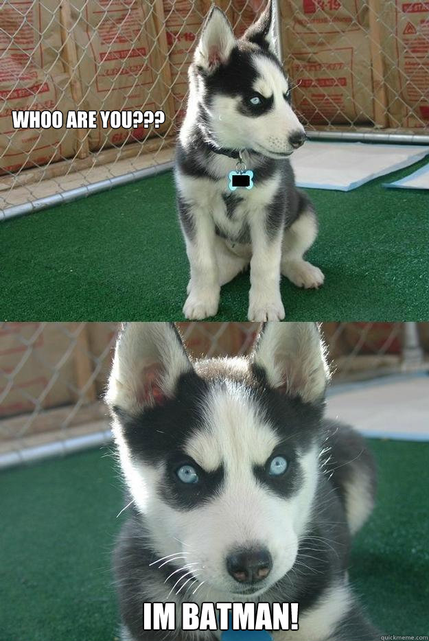whoo are you??? im BATMAN!  Insanity puppy