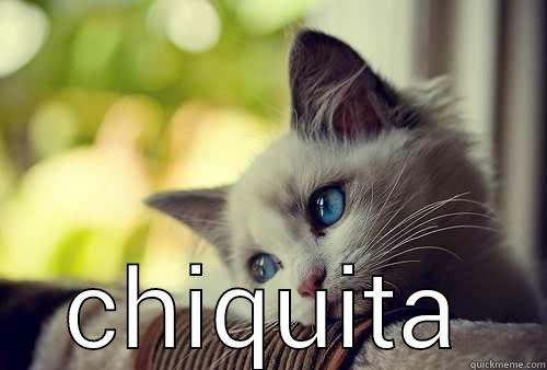  CHIQUITA First World Problems Cat