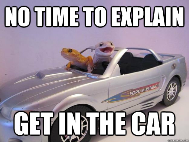 NO TIME TO EXPLAIN GET IN THE CAR - NO TIME TO EXPLAIN GET IN THE CAR  Car Gekos