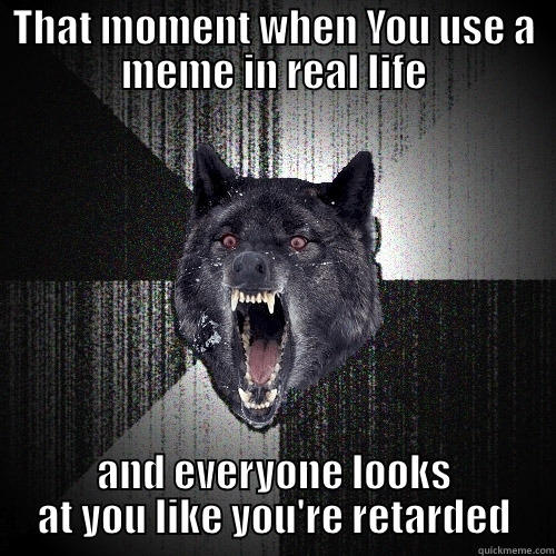 IRL Meme - THAT MOMENT WHEN YOU USE A MEME IN REAL LIFE AND EVERYONE LOOKS AT YOU LIKE YOU'RE RETARDED Insanity Wolf