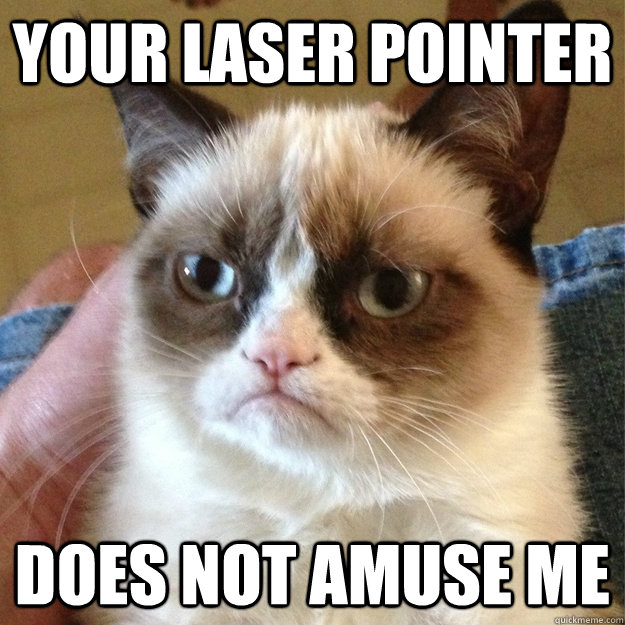 your laser pointer does not amuse me - your laser pointer does not amuse me  Misc