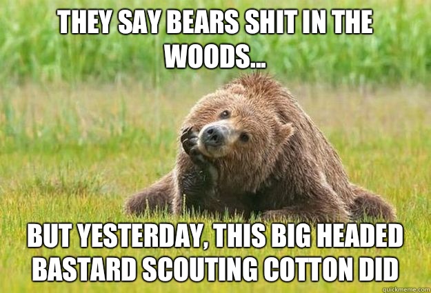 Sayings like does a bear shit in the woods