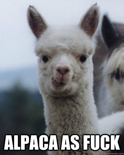  ALPACA AS FUCK -  ALPACA AS FUCK  ALPACA