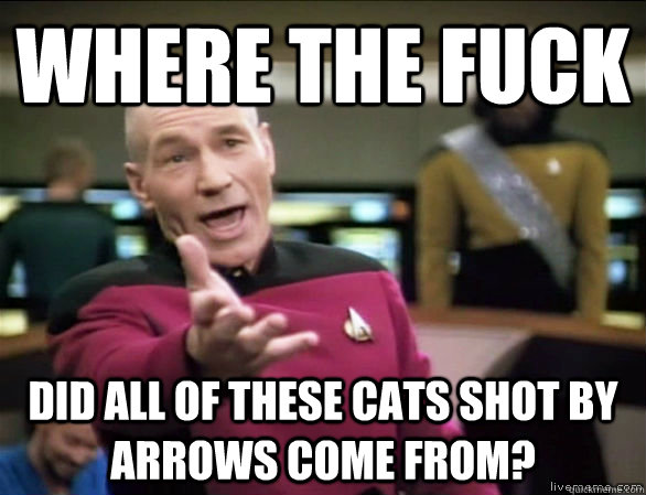 where the fuck did all of these cats shot by arrows come from?  Annoyed Picard HD