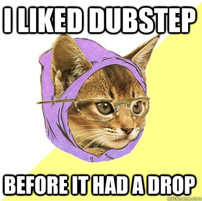 I liked dubstep before it had a drop  Hipster Kitty
