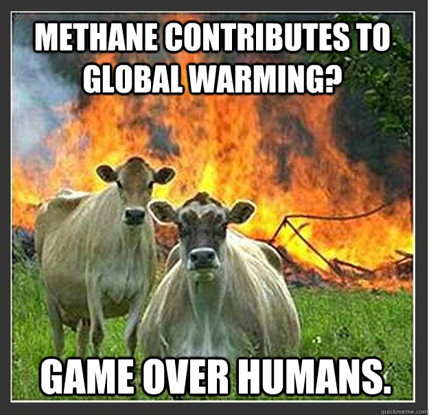 Methane contributes to global warming? Game over humans.  Evil cows