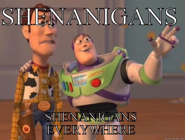 SHENANIGANS  SHENANIGANS EVERYWHERE Toy Story
