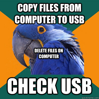 Copy files from computer to usb Check usb Delete files on computer  Paranoid Parrot