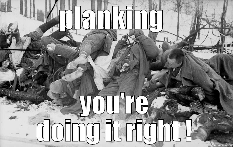 PLANKING  YOU'RE DOING IT RIGHT ! Misc