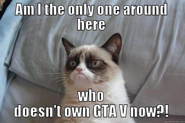 AM I THE ONLY ONE AROUND HERE WHO DOESN'T OWN GTA V NOW?! Grumpy Cat
