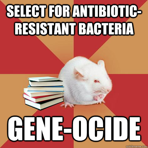 select for antibiotic-resistant bacteria gene-ocide - select for antibiotic-resistant bacteria gene-ocide  Science Major Mouse