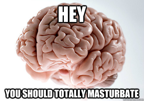 HEY YOU SHOULD TOTALLY MASTURBATE    Scumbag Brain