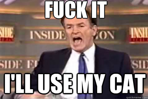 fuck it I'll use my cat  Fuck It Bill OReilly