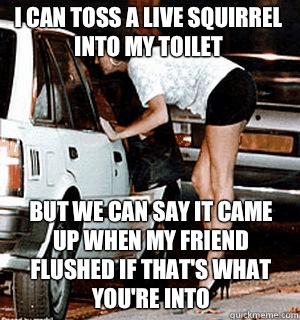 I can toss a live squirrel into my toilet But we can say it came up when my friend flushed if that's what you're into   Karma Whore