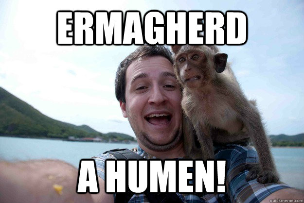 Ermagherd A humen! - Ermagherd A humen!  funny monkey