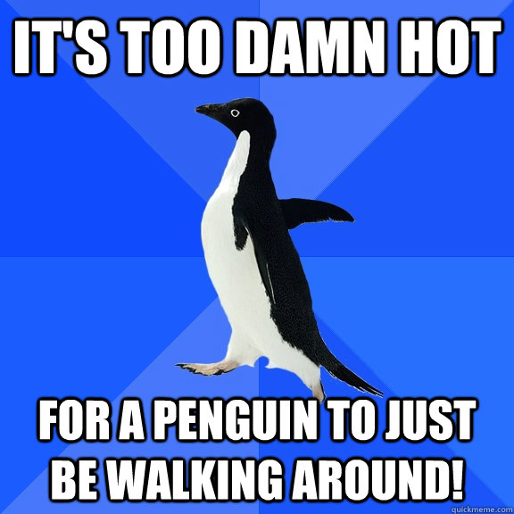 It's too damn hot for a penguin to just be walking around!  Socially Awkward Penguin
