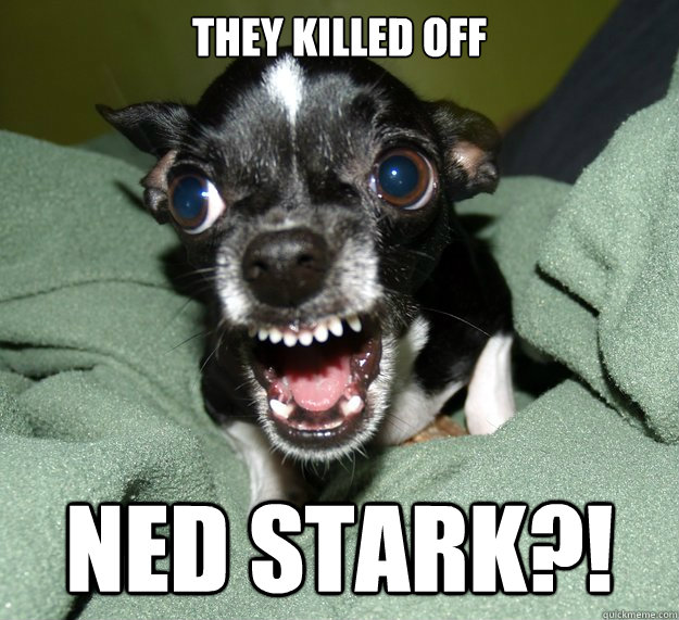 They killed off ned stark?!  Chihuahua Logic