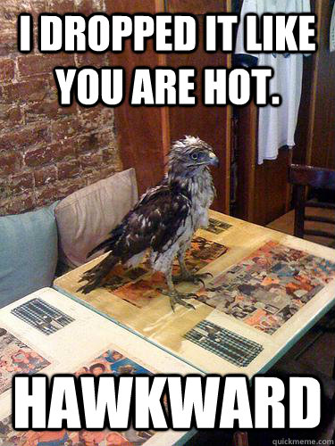 I dropped it like you are hot. Hawkward  