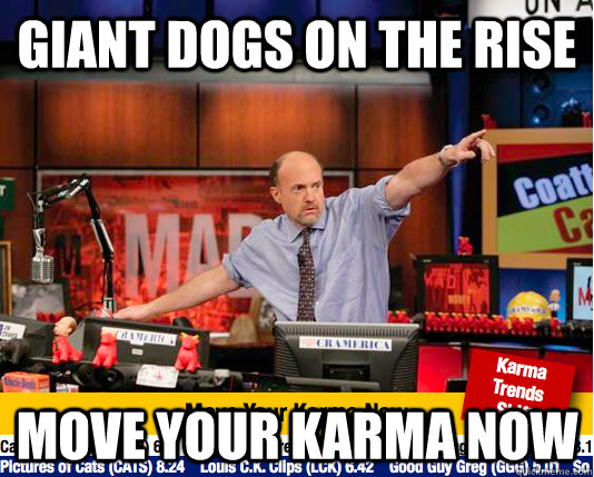 Giant dogs on the rise move your karma now   move your karma now