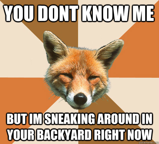 You dont know me but im sneaking around in your backyard right now  Condescending Fox