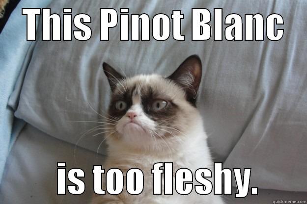    THIS PINOT BLANC             IS TOO FLESHY.       Grumpy Cat