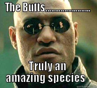 THE BUTTS........................ TRULY AN AMAZING SPECIES   Matrix Morpheus