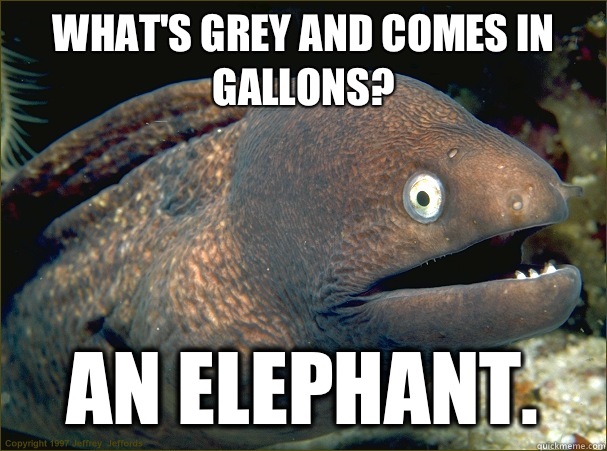 What's grey and comes in gallons? An elephant.  Bad Joke Eel