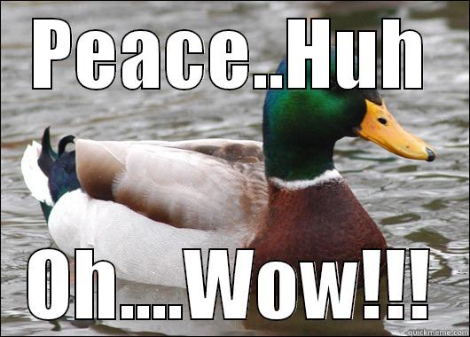 PEACE..HUH OH....WOW!!! Actual Advice Mallard