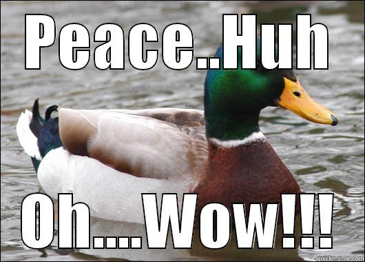 Strange Concepts - PEACE..HUH OH....WOW!!! Actual Advice Mallard